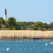 Cap ferret - Maison T1 à louer Gironde