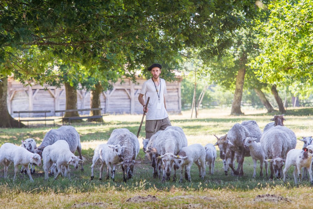 Ecomusée Marquèze - Maison T1 à louer Landes