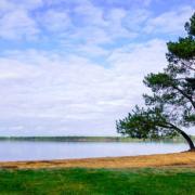 Sanguinet plages  - Maison T1 à louer océan Landes