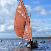 Voile sanguinet - Maison T1 à louer Landes