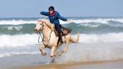 Balades equestres