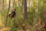 Jungle park landes
