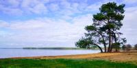 Sanguinet plages - Maison T1 à louer Landes
