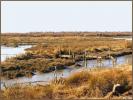 Sentier littoral
